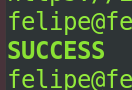 bold-green-text-terminal-output
