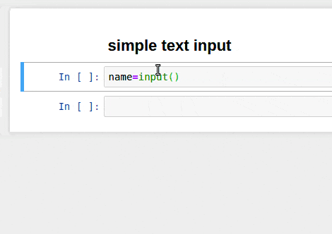 input-text-jupyter-notebook